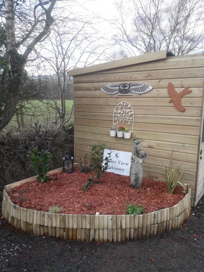 Ruby Shepherds Hut Sleeps 4 Rhayader Dış mekan fotoğraf